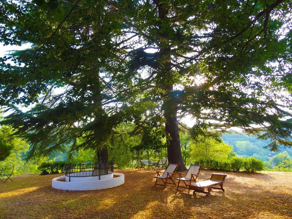 La Celestina Bed and Breakfast Piana Crixia Exteriör bild