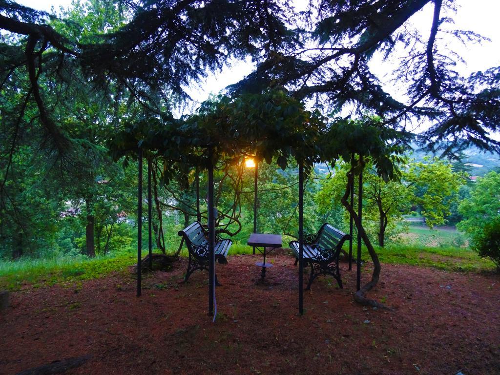 La Celestina Bed and Breakfast Piana Crixia Exteriör bild